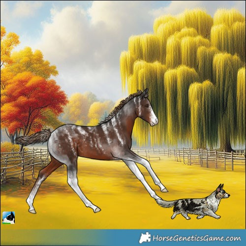 Horse Color:Powder White Liver Chestnut Tobiano