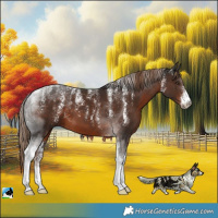 Horse Color:Powder White Liver Chestnut Tobiano 
