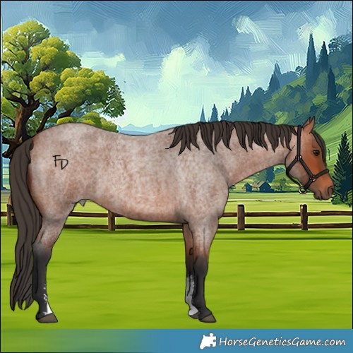 Horse Color:Bay Roan Sabino Rabicano 