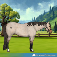 Horse Color:Bay Roan Dun 