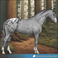 Horse Color:Black Varnish