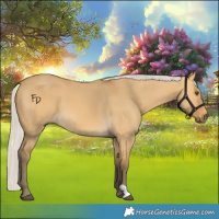 Horse Color:Silver Buckskin Dun 