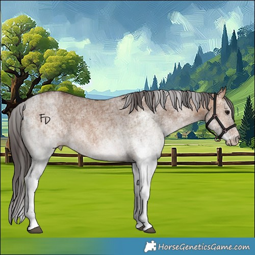 Horse Color:White Spotted Bay Dun Rabicano 
