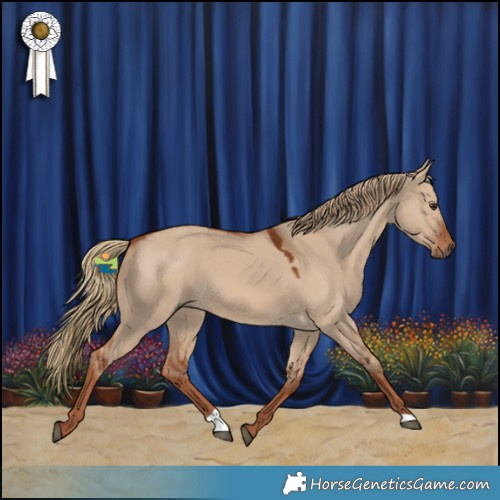 Horse Color:Red Dun 