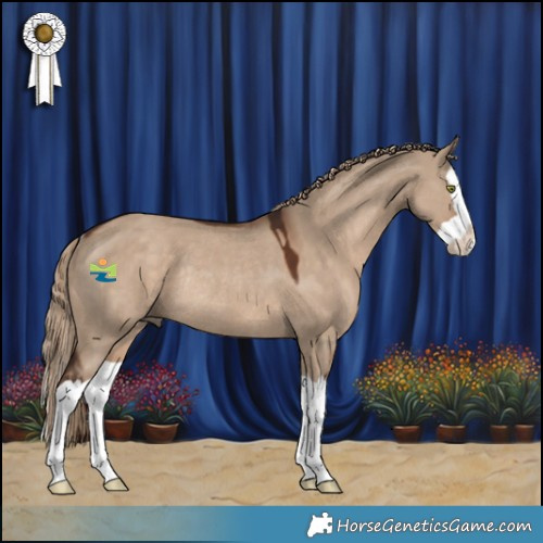 Horse Color:Liver Red Dun Splash Rabicano 