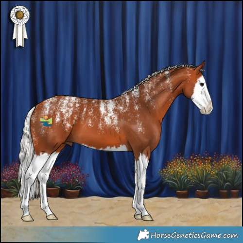 Horse Color:Powder White White Spotted Silver Bay Splash 