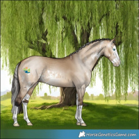 Horse Color:Bay Dun Sabino Splash and Gray Bay Dun Splash