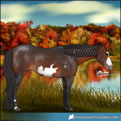 Horse Color:Brown Frame 