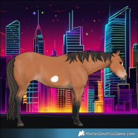 Horse Color:Bay Frame 