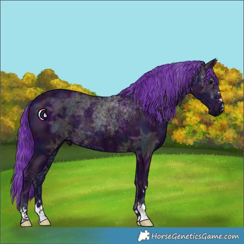 Horse Color:Watercolor Midnight Black Ice 