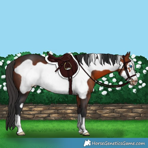 Horse Color:Brown Frame