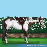 Horse Color:Brown Frame 