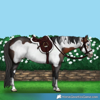 Horse Color:Brown Frame 