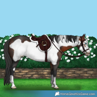 Horse Color:Brown Frame 