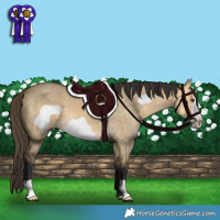 Horse Color:Buckskin Dun Frame