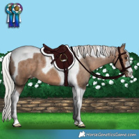 Horse Color:Silver Brown Dun Tobiano Blanket 