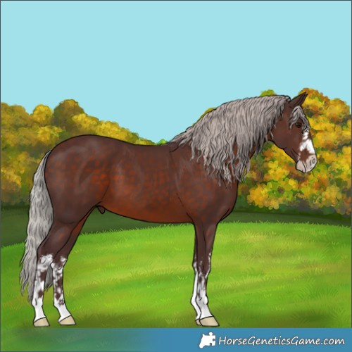 Horse Color:White Spotted Chocolate Silver Brown 