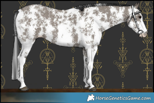 Horse Color:Grullo Sabino Rabicano