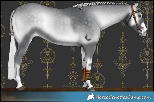 Horse Color:Silver Blue Onyx Chinchilla Rabicano 
