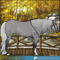 Horse Color:Silver Smoky Grullo Chinchilla