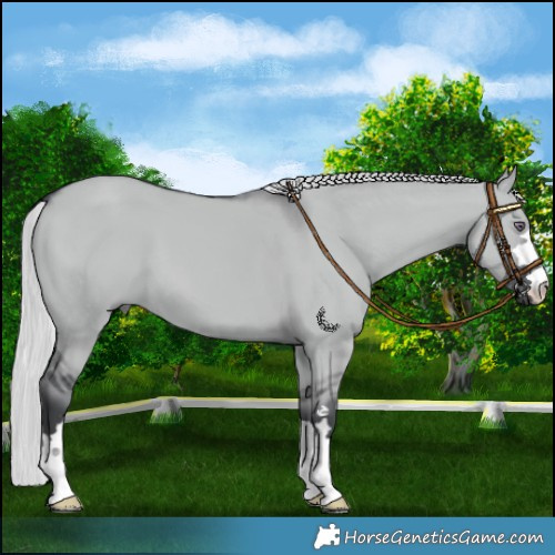 Horse Color:Silver Grullo Chinchilla 