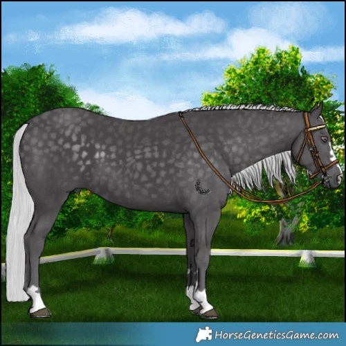 Horse Color:Silver Smoky Black Chinchilla 