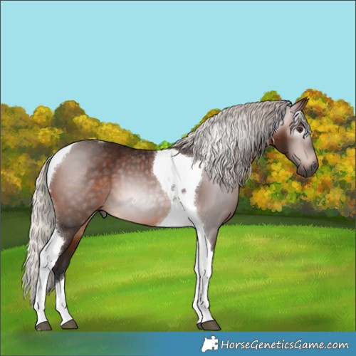 Horse Color:Gray Silver Bay Tobiano 