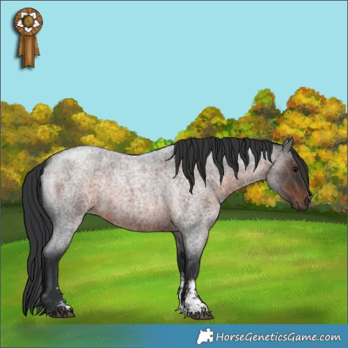 Horse Color:Brown Roan Sabino 