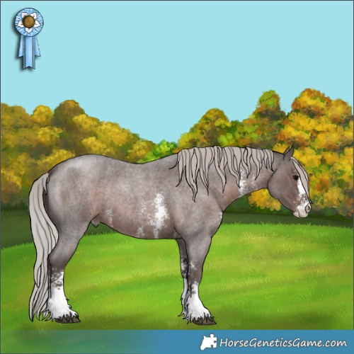 Horse Color:Silver Blue Roan Sabino 