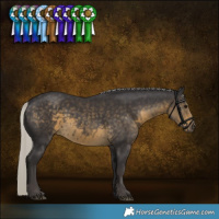 Horse Color:Silver Smoky Black