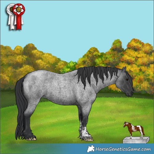 Horse Color:Blue Roan Sabino 
