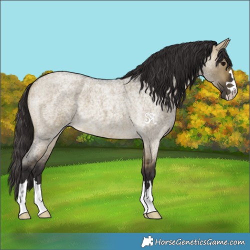 Horse Color:Buckskin Roan Dun 