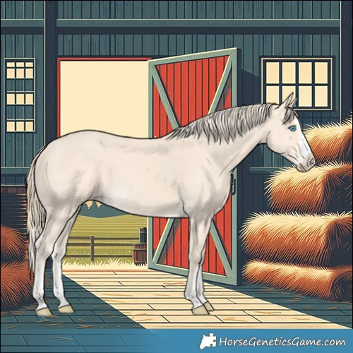 Horse Color:Cremello Splash  and Perlino Splash 