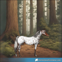Horse Color:Brown Near Leopard  and Silver Brown Near Leopard 