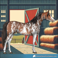 Horse Color:Bay Sabino 