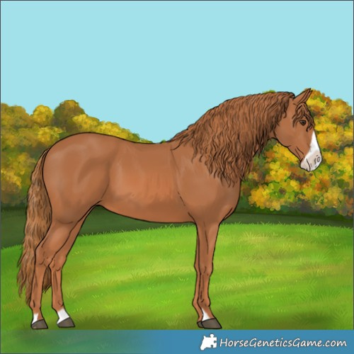 Horse Color:Chestnut Frame