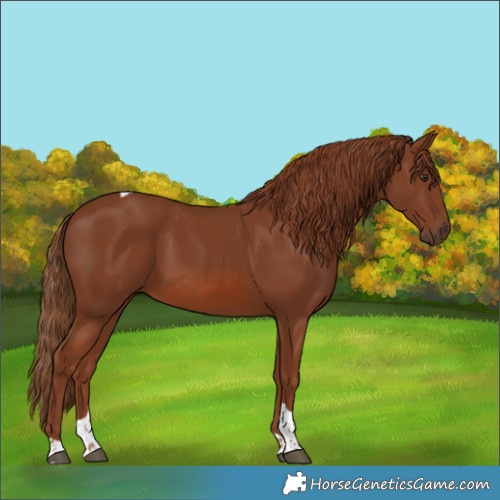 Horse Color:Chestnut Tobiano 