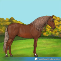 Horse Color:Chestnut 