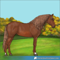 Horse Color:Chestnut 
