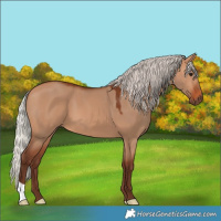 Horse Color:Silver Bay Dun 