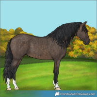 Horse Color:Brown Dun Brindle