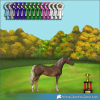 Horse Color:Chocolate Palomino Tobiano 
