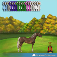 Horse Color:Chocolate Palomino Tobiano 