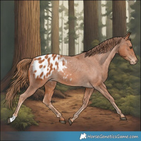 Horse Color:Chestnut Blanket 