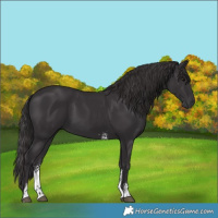 Horse Color:Smoky Black Sabino