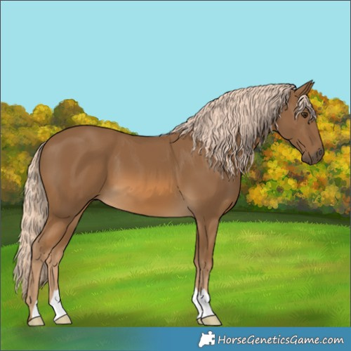 Horse Color:Chocolate Palomino