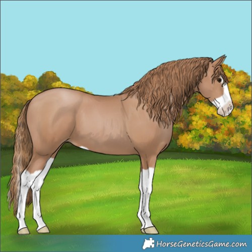 Horse Color:Black Pearl Splash 