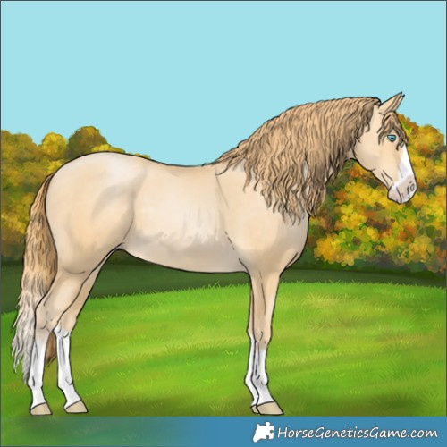 Horse Color:Buckskin Pearl Splash 