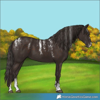 Horse Color:Powder White Liver Chestnut