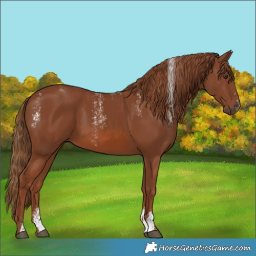 Horse Color:Unknown 